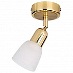 Спот Escada Fabius 5039/1PA 250_100_Array
