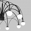 Подвесная люстра Eurosvet Ragno 90034/10 LED черный 100_100_1814035