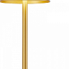 Настольная лампа декоративная F-promo Pyari 4616-1T 100_100_1923470