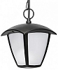 Подвесной светильник Lightstar Lampione 375070 100_100_2233131
