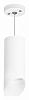 Подвесной светильник Lightstar Rullo RP648686 100_100_1714826