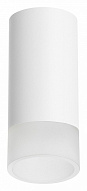 Накладной светильник Lightstar Rullo R43631 500_191_2448372