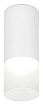 Накладной светильник Ambrella Light TN TN230 250_100_Array