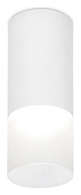 Накладной светильник Ambrella Light TN TN230 400_400_2442307