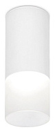 Накладной светильник Ambrella Light TN TN230 500_191_2442307