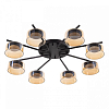 Потолочная люстра Citilux ESPACE CL243181 100_100_2877258