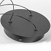 Люстра подвесная Lussole LSP-7419 100_100_1742255