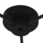 Потолочная люстра Lightstar Fico II 740137 250_100_3097749