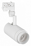 Светильник на штанге Arlight ZEUS 024606(1) 250_100_Array