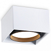 Накладной светильник Ambrella Light TN TN70865 100_100_2442405