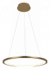 Подвесной светильник Loft it Ring 10014M 100_100_1845732