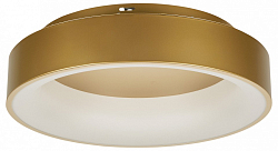 Накладной светильник MyFar Shannon MR2195-1PL 250_100_3156363