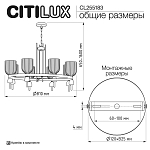 Подвесная люстра Citilux CARSON CL255183 250_100_3073265