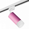 Светильник на штанге Lightstar Rullo R1T43231 100_100_2471172