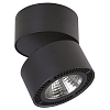 Спот Lightstar Forte Muro 213857 100_100_1711850