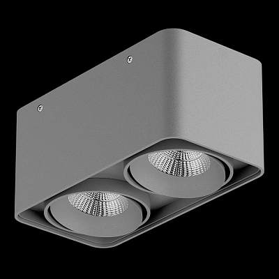 Накладной светильник Lightstar Monocco 052129 400_400_1711778
