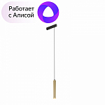 Подвесной светильник Denkirs Smart DK8008-BG 250_100_1913689