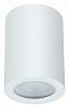 Накладной светильник Arte Lamp Tino A1468PL-1WH 100_100_2444401