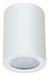 Накладной светильник Arte Lamp Tino A1468PL-1WH 250_100_Array