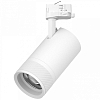 Светильник на штанге Lightstar Canno Pro C4406QT 100_100_3087627