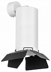Спот Lightstar Rullo RB6487487 250_100_1721246