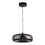 SL6014.403.01 Светильник подвесной ST-Luce Черный/Черный, Дымчатый LED 1*42W 3000K РИПЛ 250_100_Array