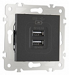 Розетка USB, без рамки Arte Milano am-203 203.46-1.black 250_100_Array