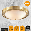 Накладной светильник Lumion Nina 5259/3C 100_100_1863239