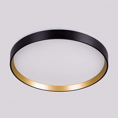 Накладной светильник Citilux ETALON CL750321R 400_400_3148818