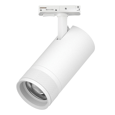 Светильник на штанге Lightstar Canno Pro C4306SS 400_400_3084227