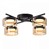 Потолочная люстра Citilux ESPACE CL243141 100_100_2877246
