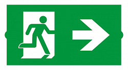 Пиктограмма Arlight EMERGENCY 046667 250_100_2136516