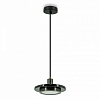 Подвесной светильник LIGHTERA Croix LE129L-20BB 100_100_2049892