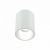 Накладной светильник LIGHTERA Shamrock LE200CL-1W 100_100_2049175