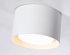 Накладной светильник Ambrella Light TN TN70812 100_100_2019293