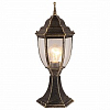 Наземный низкий светильник Arte Lamp Pegasus A3151FN-1BN 100_100_2249119