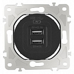 Розетка USB, без рамки Arte Milano am-202 202.46-1.black 250_100_Array
