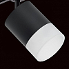 Светильник на штанге Lightstar Rullo R1T348781 100_100_1717982