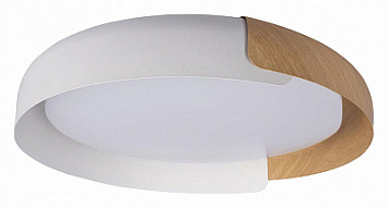 Накладной светильник Loft it Coin 10198 White 500_191_3154429