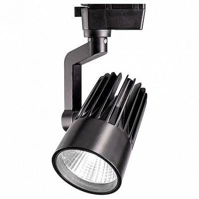 Светильник на штанге Jazzway Ptr 01 5022713 400_400_3164229