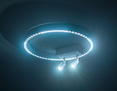 Накладной светильник Ambrella Light FL FL5805 400_400_2016280