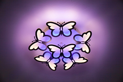 Накладной светильник Escada Butterfly 10205/5LED 400_400_1941914