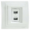 Розетка USB Mono Electric Larissa 103-191905-178