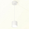 Подвесной светильник Ambrella Light XP XP8110011 100_100_2014571