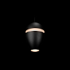 Подвесной светильник Loft it Viterbo 10336 Black 100_100_1851665