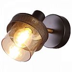 Спот Imex SP.052 SP.052-11-01 250_100_Array