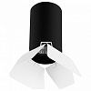 Накладной светильник Lightstar Rullo R437436 100_100_2448389