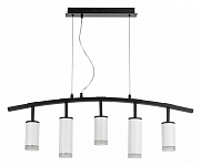 Подвесной светильник Lightstar Rullo LR7353638620 250_100_1716628