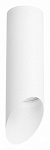 Накладной светильник Lightstar Rullo R48636 250_100_Array