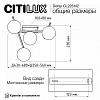 Потолочная люстра Citilux Dorsy CL223142 100_100_1694237